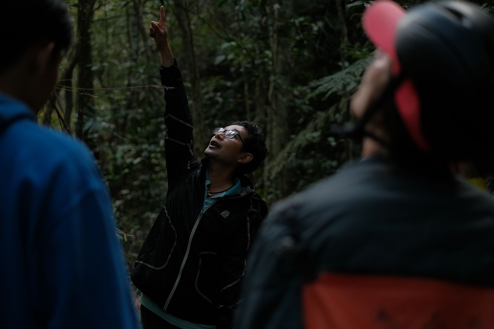 Guide pointing at wildlife in dense forest, engaging with a group